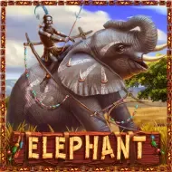ELEPHANTPlayStar screenshot